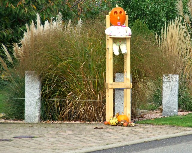 An Halloween 2014 in Göbrichen gesehen.