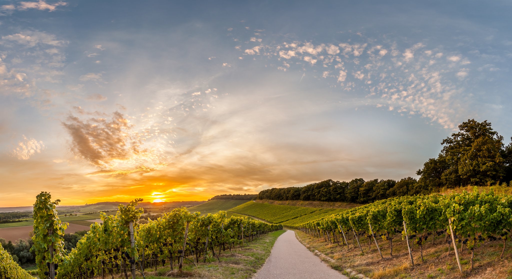 Hügelradeln im Kraichgau-Stromberg - Das Land der 1.000 Hügel legt neue