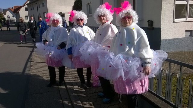 Sandhasen aus Sternenfels