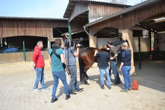 Dr. Stephen Dammer untersucht den Patienten. Er hat eine Hautirritation in der Sattelgegend. Rechts assistiert Tierarzthelferin Hannah Bethke.