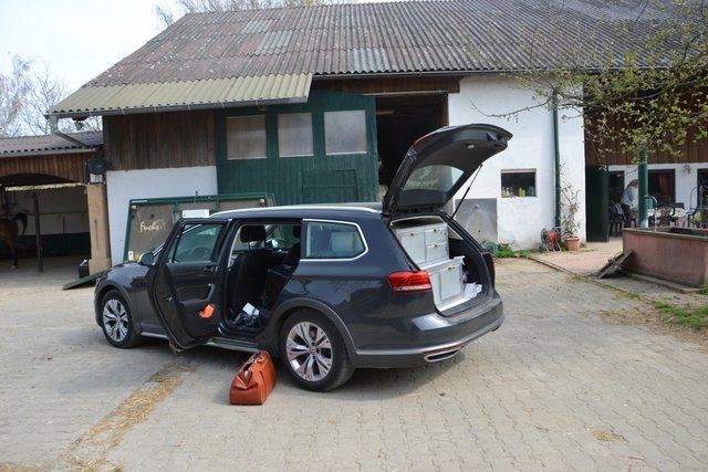 Der Tierarzt ist schon da. Während das Filmteam die Pferdebesitzerin instruiert, impft er schon mal zwei oder drei der vielen Pferde, die auf dem Fuchshof stehen.