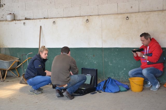 ... Redaktionsleiter Mario fragt nochmals nach, was genau passiert.