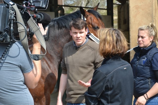 Dr. Dammer fragt nach, seit wann der Wallach den Ausschlag hat.