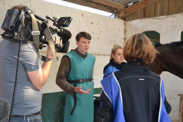 Gute Nachrichten: Die Wirbelsäule ist in Ordnung. Dr. Dammers Empfehlung lautet Behandlung mit Salbe und Shampoo, um die Haut zu beruhigen.