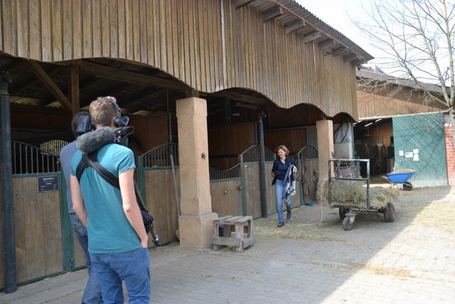 Ingrids erster Auftritt: Sie geht zur Box ihres sechsjährigen Wallachs Quanduro, dem heutigen Patienten.