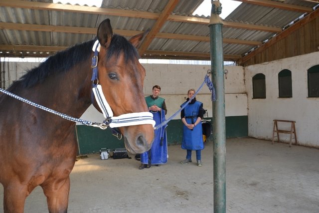 Dr. Dammer und Hannah tragen schon die schützenden Bleischürzen.