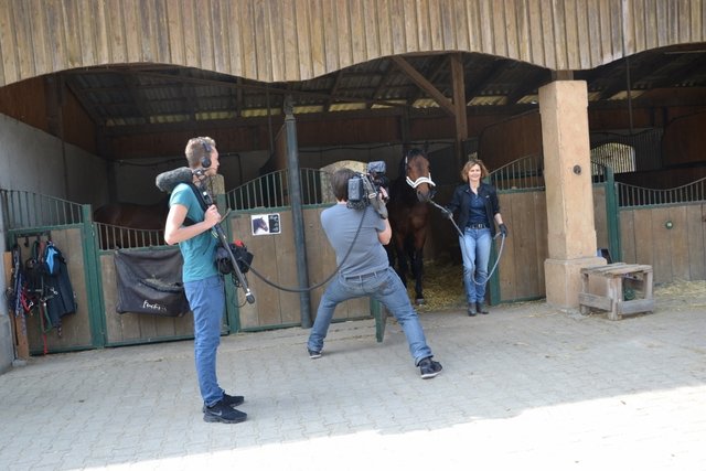Ingrid führt Quanduro aus der Box.