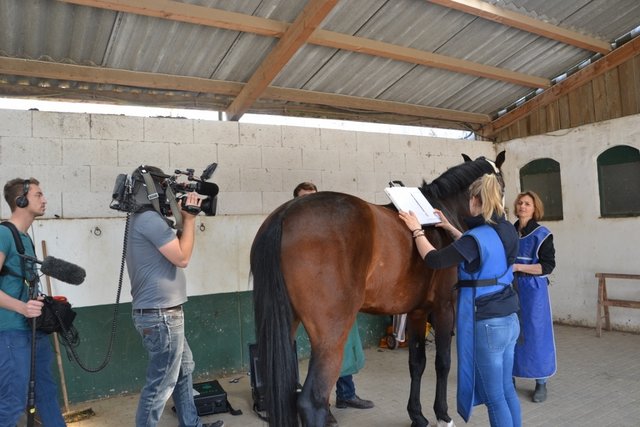 Achtung: Nicht wackeln! Quanduros Wirbelsäule wird geröntgt.