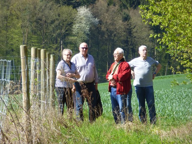 Am Biotop vom Nabu angelegt.