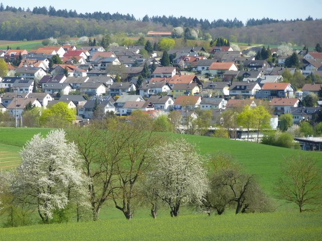 Blick auf Diedelsheim "Untere Hälde"
