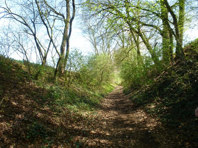 Hohlweg in Richtung Diedelsheim