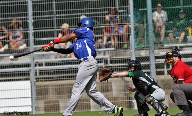 Am Schlag der Neuenbürger Jackson in der Mitte der Brettener Jung