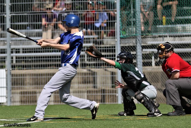 Am Schlag der Neuenbürger Many, in der Mitte der Brettener  Jung