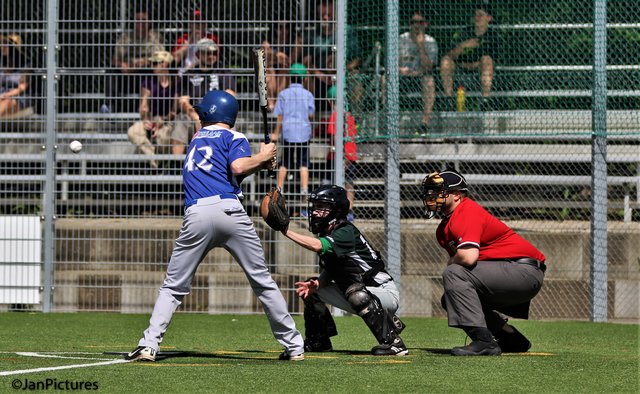 Am Schlag der Neuenbürger Many, in der Mitte der Brettener  Jung