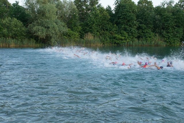 Anfang Juni fiel im Zuge des Sparkasse IRONMAN 70.3 Kraichgau auch der Startschuss für die internationalen Top-Athleten der 1. Bitburger 0,0% Triathlon-Bundesliga.