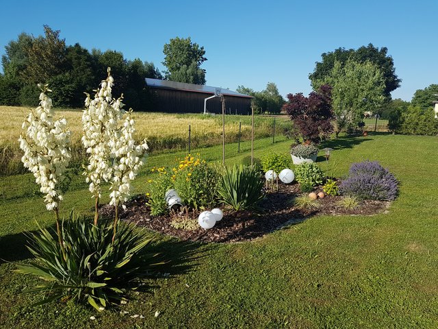 Unser Garten-Tipp: Bei dieser Sommerhitze am Besten morgens gießen