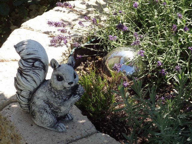 Blattläuse lassen sich auch immer mal wieder mit einem scharfen Wasserstrahl abspritzen.