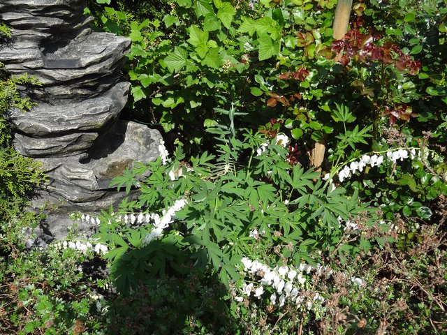 Gärten bekommt man wie Kinder, beide sind Früchte der Liebe.