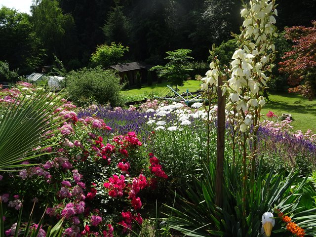 Blütenpracht im Garten