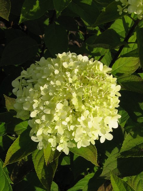 Eingefangenes Abendlicht