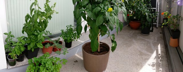 Niemals von mangeldem Platz abschrecken lassen ;)