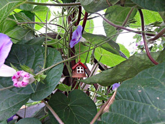 Wer wohnt denn hier?