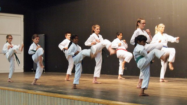 Der Taek-Won-Do Club Bretten führte beeindruckende Formationskämpfe vor.