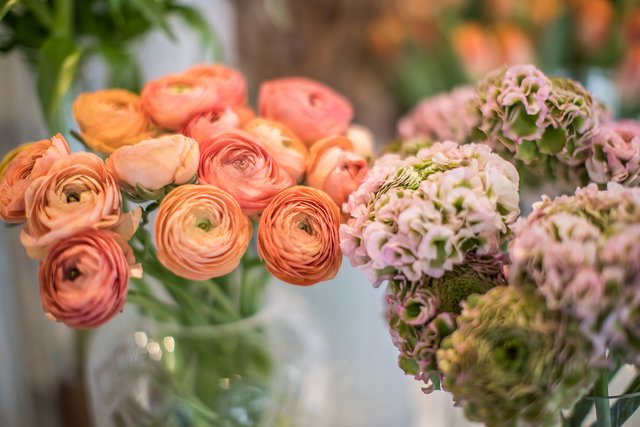 Foto: Christoph Göckel