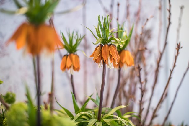 Foto: Christoph Göckel