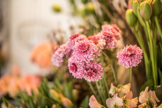 Foto: Christoph Göckel