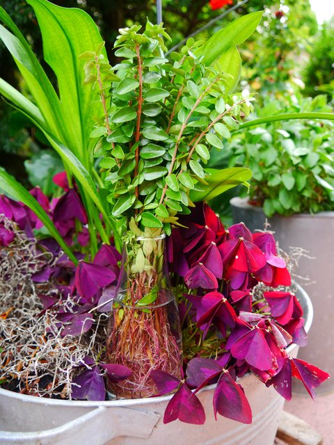 Der Neubeginn des Buchs