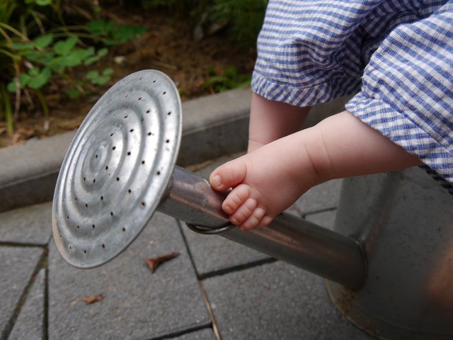 Regelmäßiges Gießen ist sehr wichtig bei der Hitze!