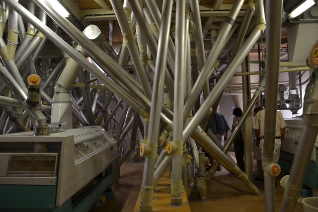 Über ein Labyrinth aus Schläuchen und Rohren gelangt das Produkt von einer Verarbeitungsstation zur nächsten.