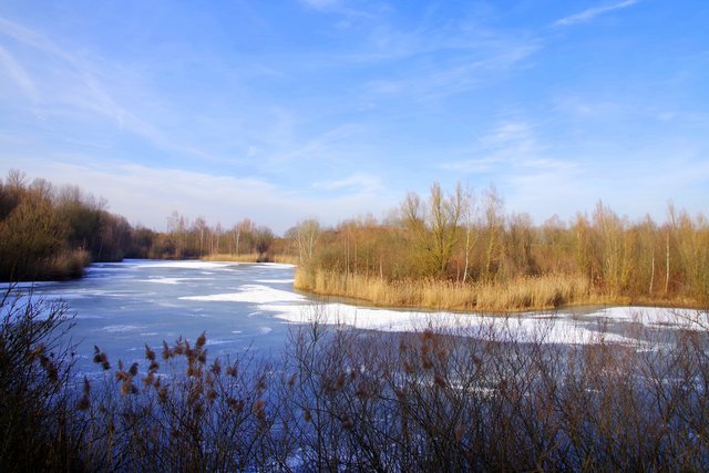 Winterlicher Tonbergsee
