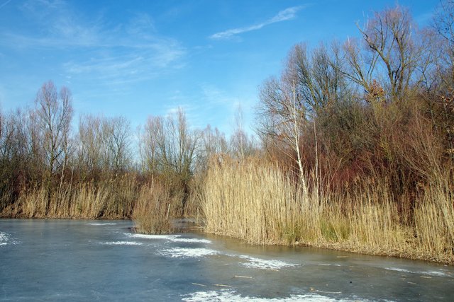 Der Tonbergsee im Winter