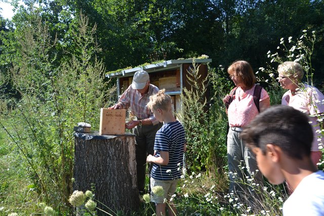 Wer ist im Insektenhotel eingezogen?