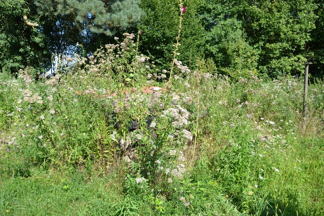 Im Grünen verbirgt sich eine Mäuseburg.