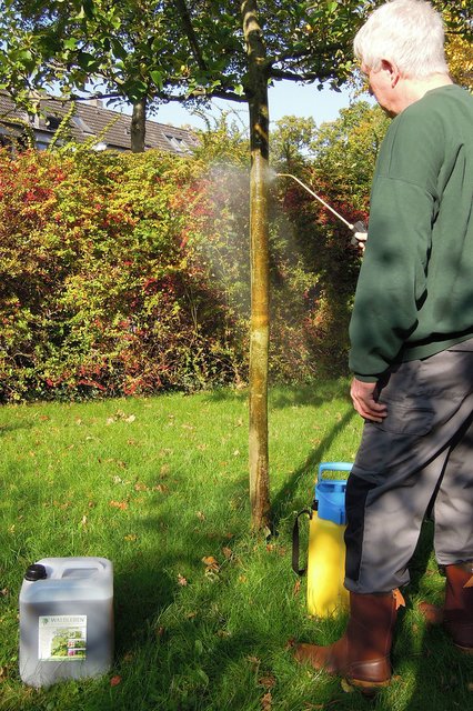 Pflanzen-Vitalkuren wie "Waldleben" können Gartenfreunde zu Hause ganz einfach selbst ausbringen. Foto: djd/www.waldleben.eu