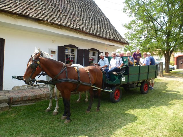 Los geht's zur Dorferkundung
