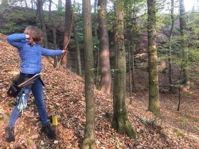 Pfeil frei im Maulbronner Wald