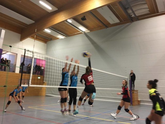 Damen 2