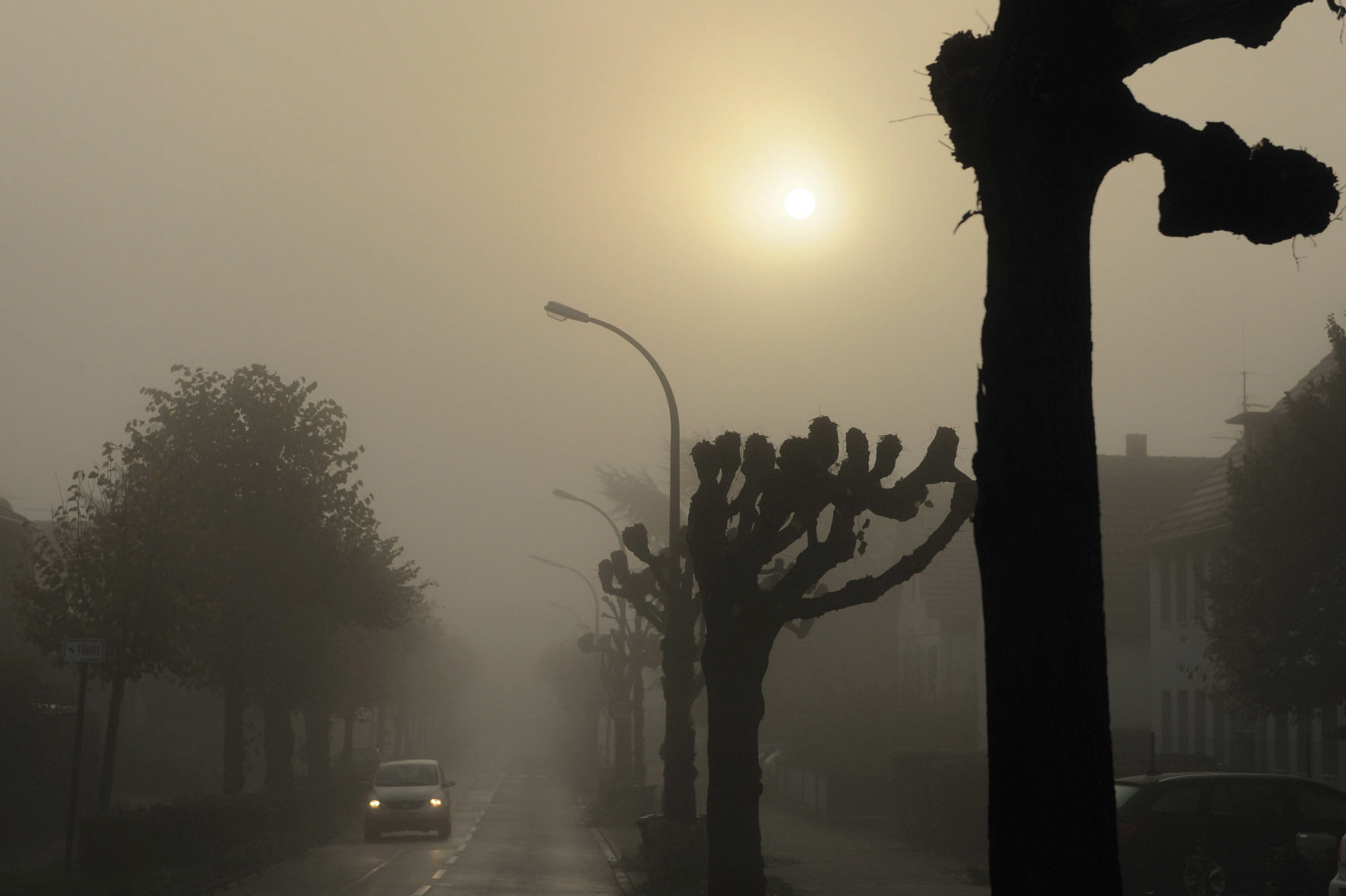 Nebel taucht eher selten überraschend auf. Wenn doch, müssen Autofahrer ihre Fahrweise anpassen. Foto: TÜV Rheinland/mid/akz-o