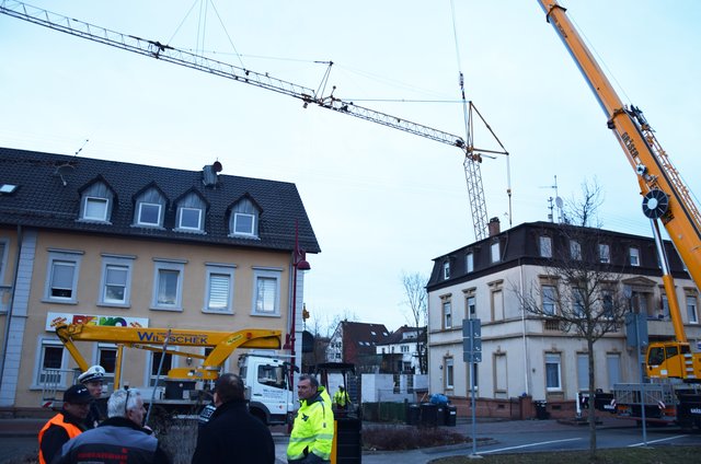 Experten beratschlagten mit Polizei und Ordnungsamt das weitere Vorgehen. Foto: ch