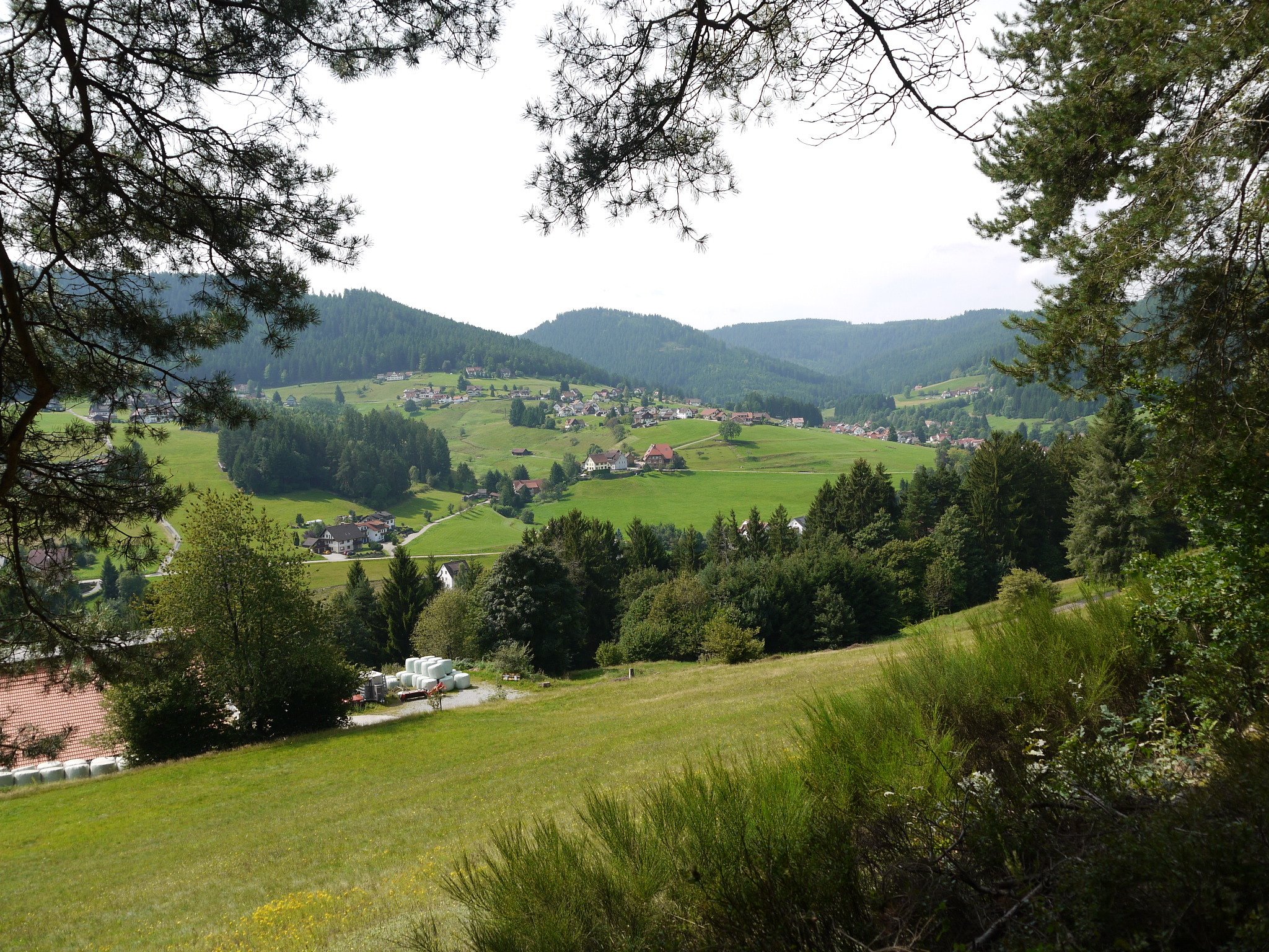 Murgwanderung bei Forbach Region