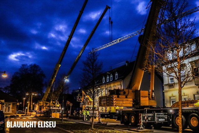 (Foto: Elija Ferrigno)