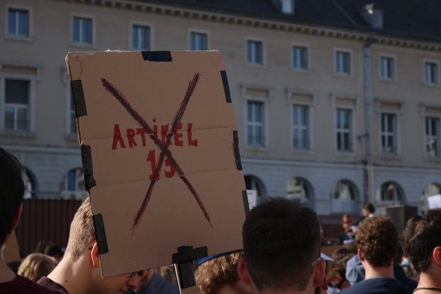 (Foto: Elija Ferrigno)