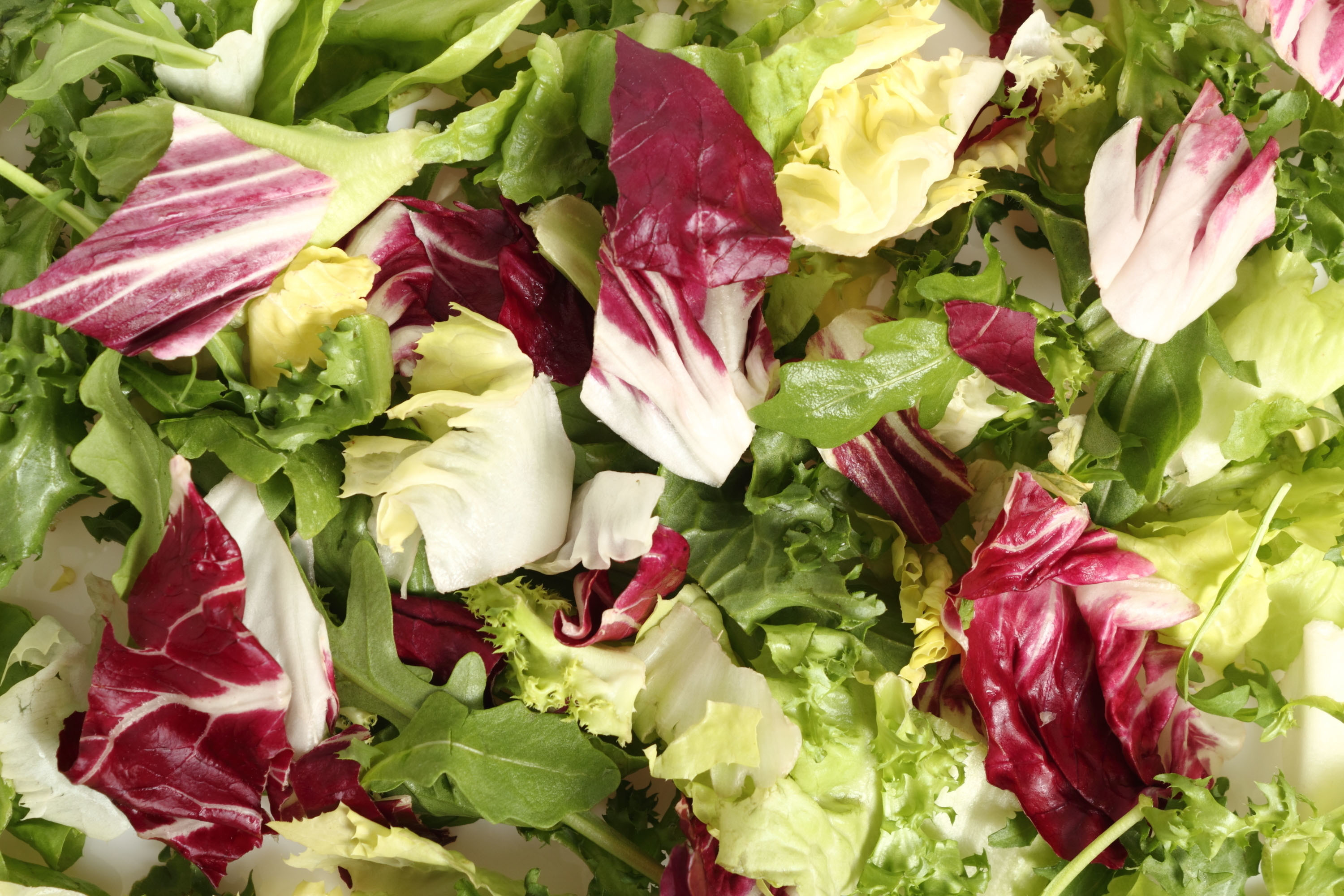 Bittere Salatsorten wie Endivie oder Chicorée haben eine anregende Wirkung auf Leber und Galle. Foto: djd/Verlag Peter Jentschura/shutterstock