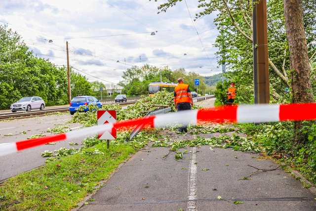 Foto: Fabian Geier/Einsatz-Report24