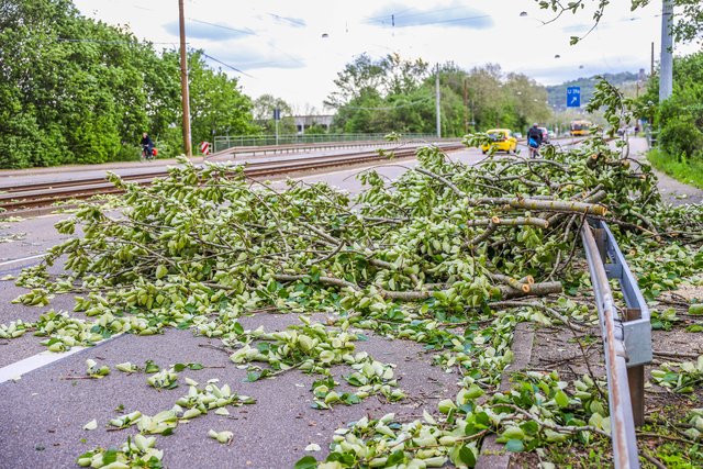 Foto: Fabian Geier/Einsatz-Report24