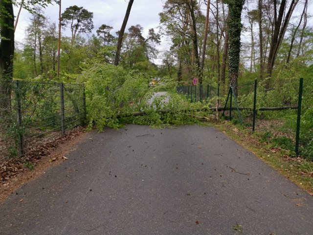 Foto: Fabian Geier/Einsatz-Report24